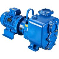 Насос самовсасывающий Varisco JE 2-180 G10 NT20 Ду50x50 Ру2.5 моноблочный для загрязненной воды, центробежный, с рабочим колесом открытого типа, максимальный напор - 38 м, максимальная 50 м3/час, 230/400 В