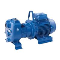Насос самовсасывающий Varisco JE 2-215 G10 NT20 Ду50x50 Ру2.5 моноблочный для загрязненной воды, центробежный, с рабочим колесом открытого типа, максимальный напор - 60 м, максимальная 46 м3/час, 230/400 В