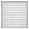 Cветодиодный (LED) светильник ЭСКО Новый Свет ДВО14-30-04