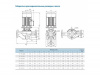 Насос вертикальный циркуляционный CNP серии TD150-25/4 SWSCJ